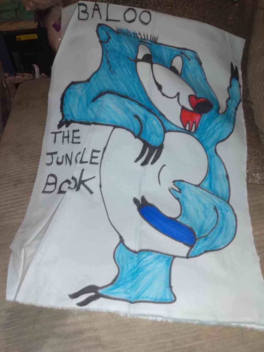 star track and baloo and more pillows - Saint Louis, Missouri - FleaMarketBay