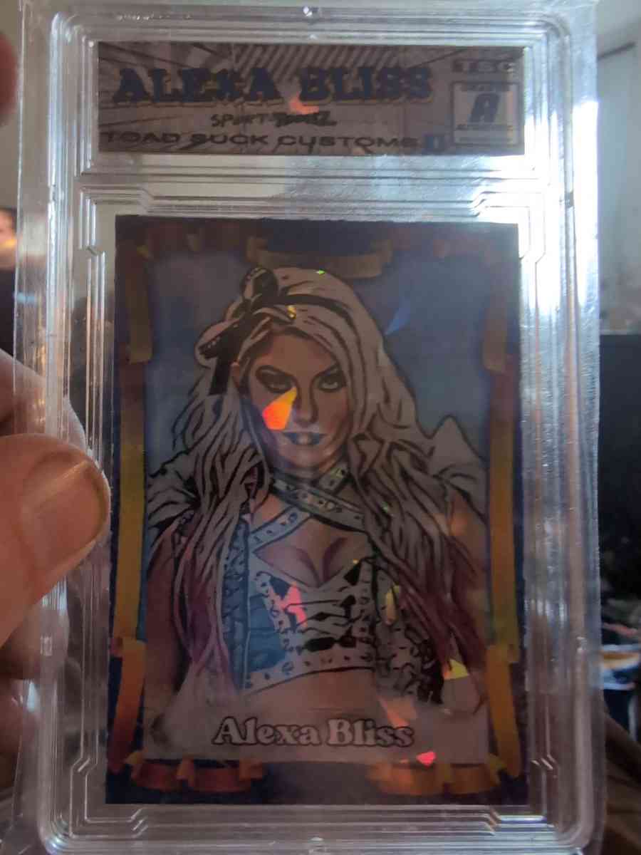 lot of 4 costom cards message me with offers - Clinton, Maine - FleaMarketBay