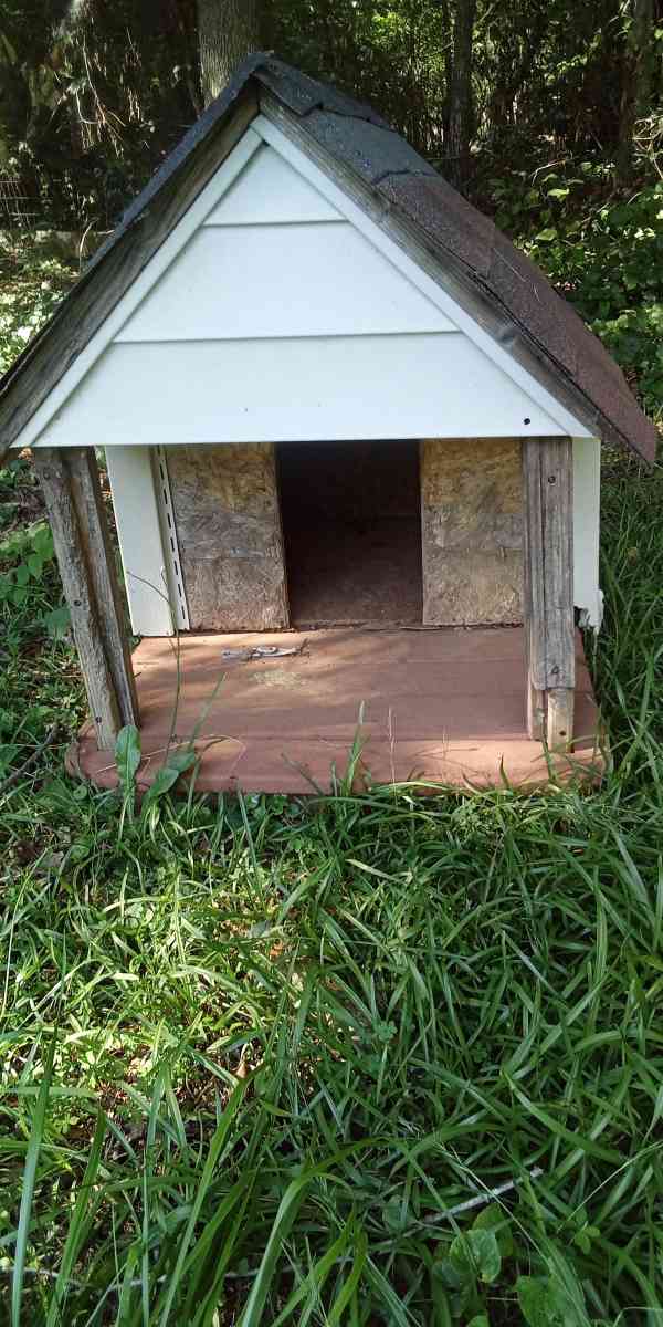 Dog House