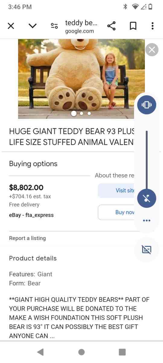 teddy bear 93 feet - Cleveland, Ohio - FleaMarketBay