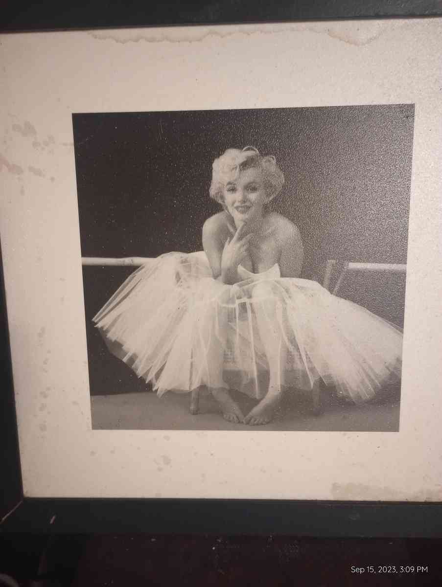 Marilyn Monroe portraits - San Antonio, Texas - FleaMarketBay