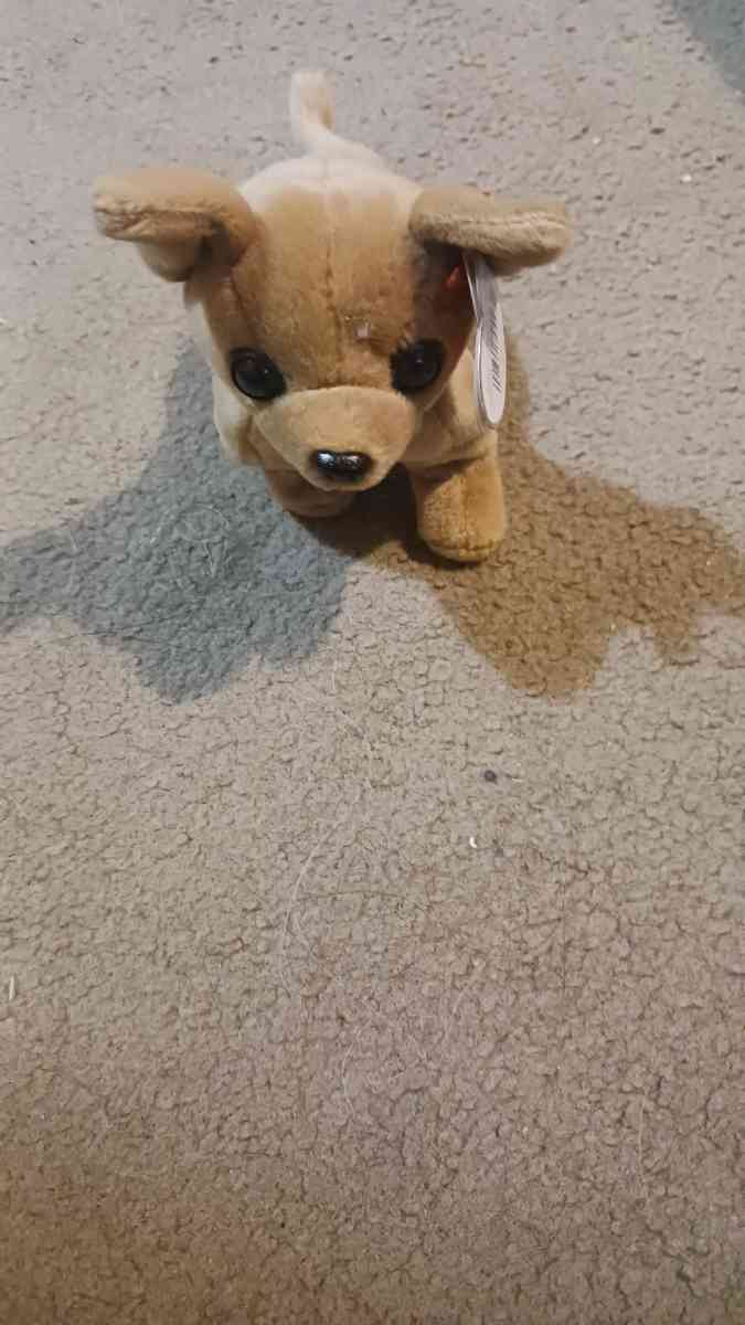 ty Beanie Babie - Deford, Michigan - FleaMarketBay