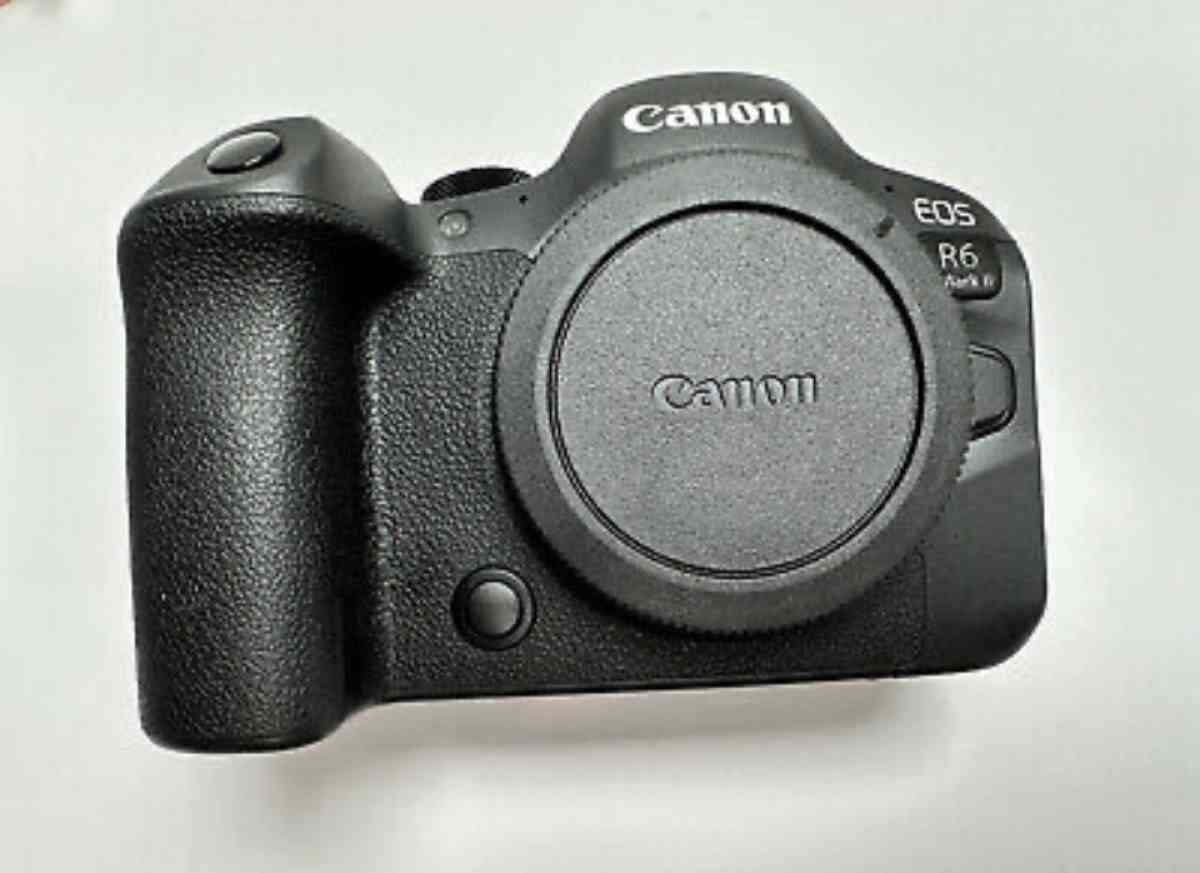 Canon EOS r6 mark ii - Jacksonville, Florida