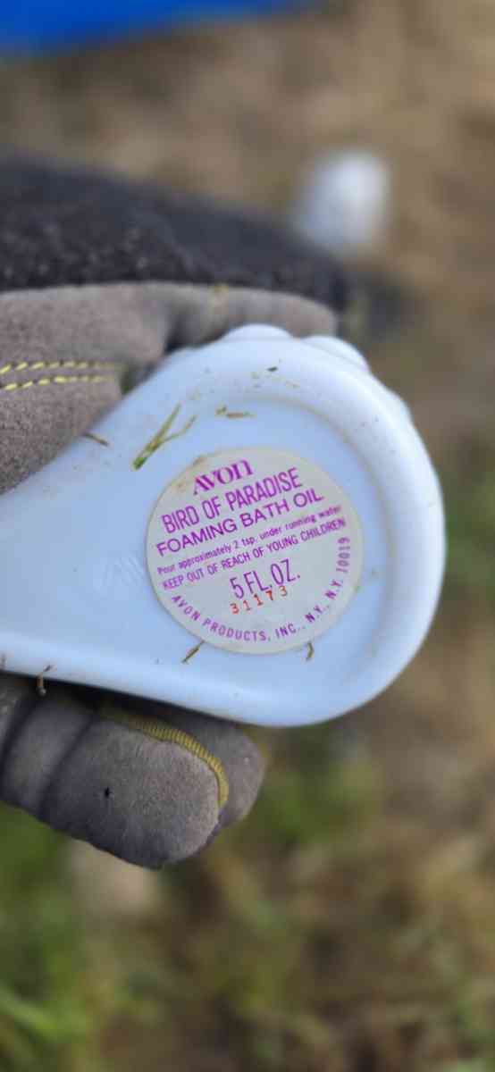 collectable Avon bath oil and cologne - Olympia, Washington - FleaMarketBay