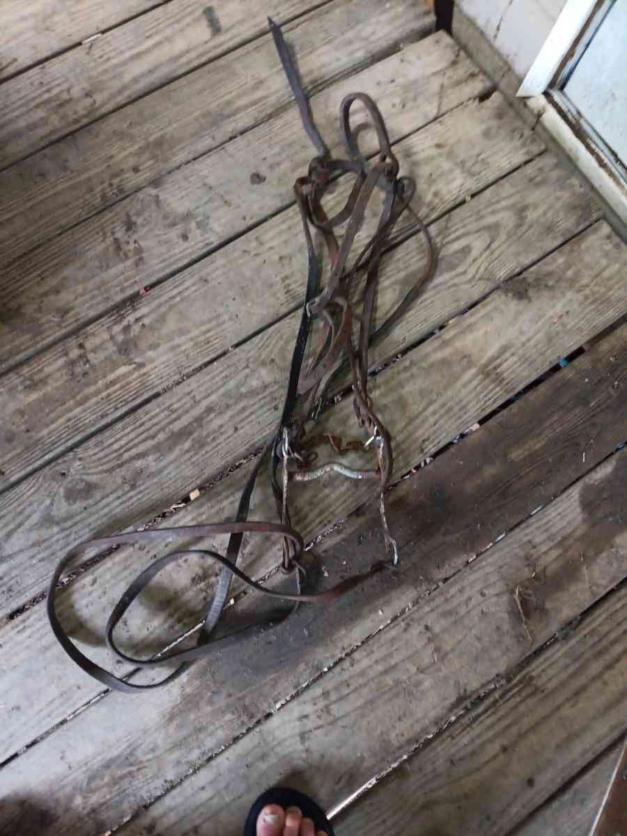 bridle with bit n reins - Opelousas, Louisiana - FleaMarketBay