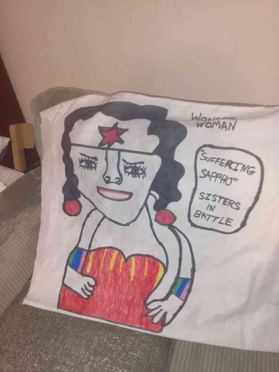 variety of pillows and wall hangings - Saint Louis, Missouri - FleaMarketBay