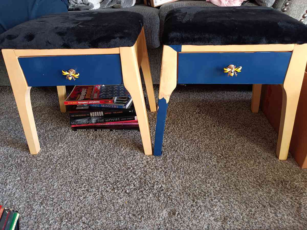 Set of 2 Stools with Draw Storage and Faux Fur Seats - Roseville, Michigan