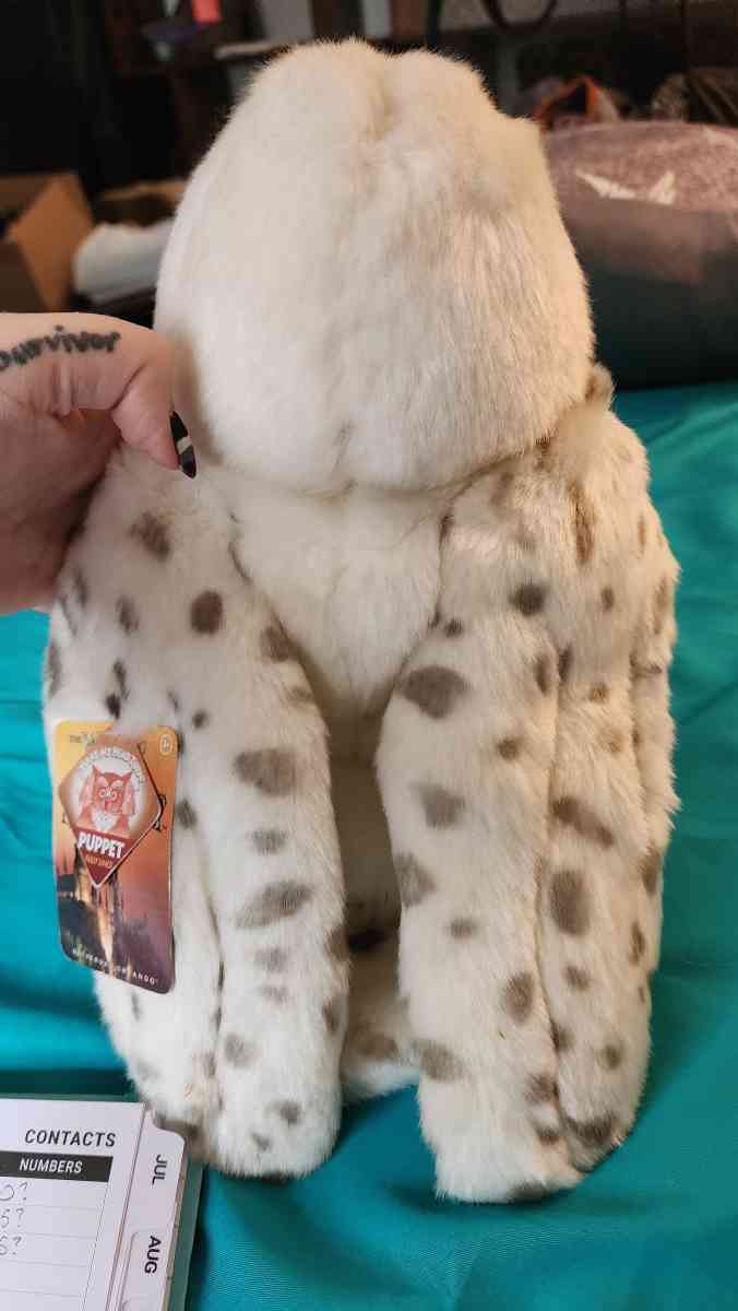 Official Wizarding world merch Hedwig NWT puppet 360head - Westminster, Colorado - FleaMarketBay