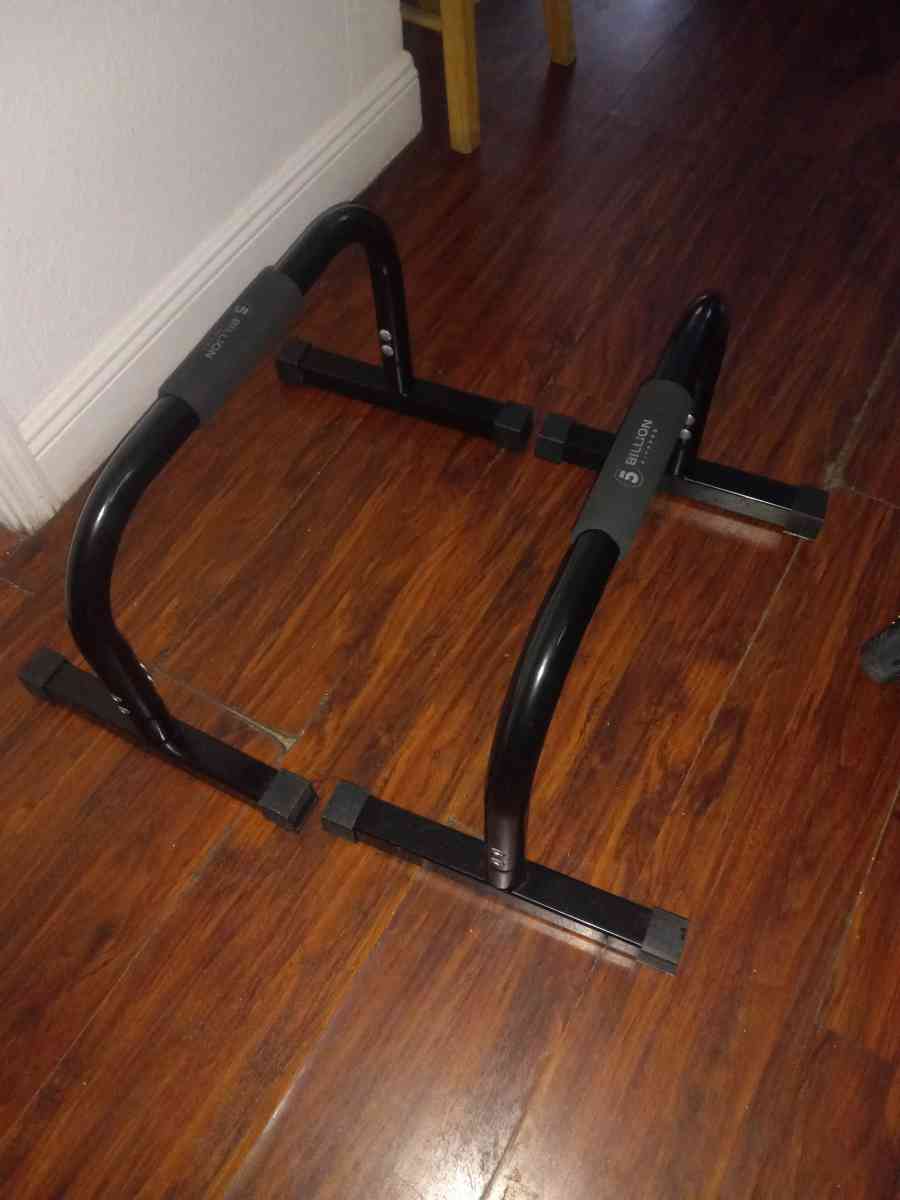 parallells bars calisthenic - Miami, Florida