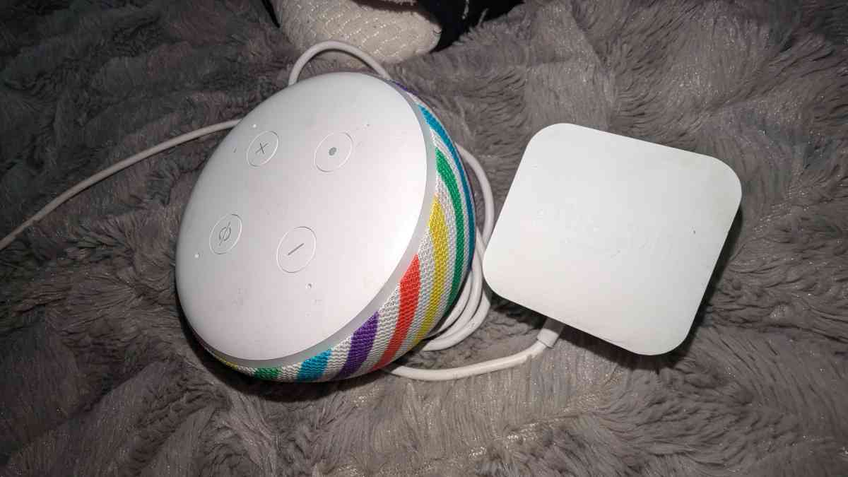 Amazon Echo Dot  Kids - Monroe Township, New Jersey