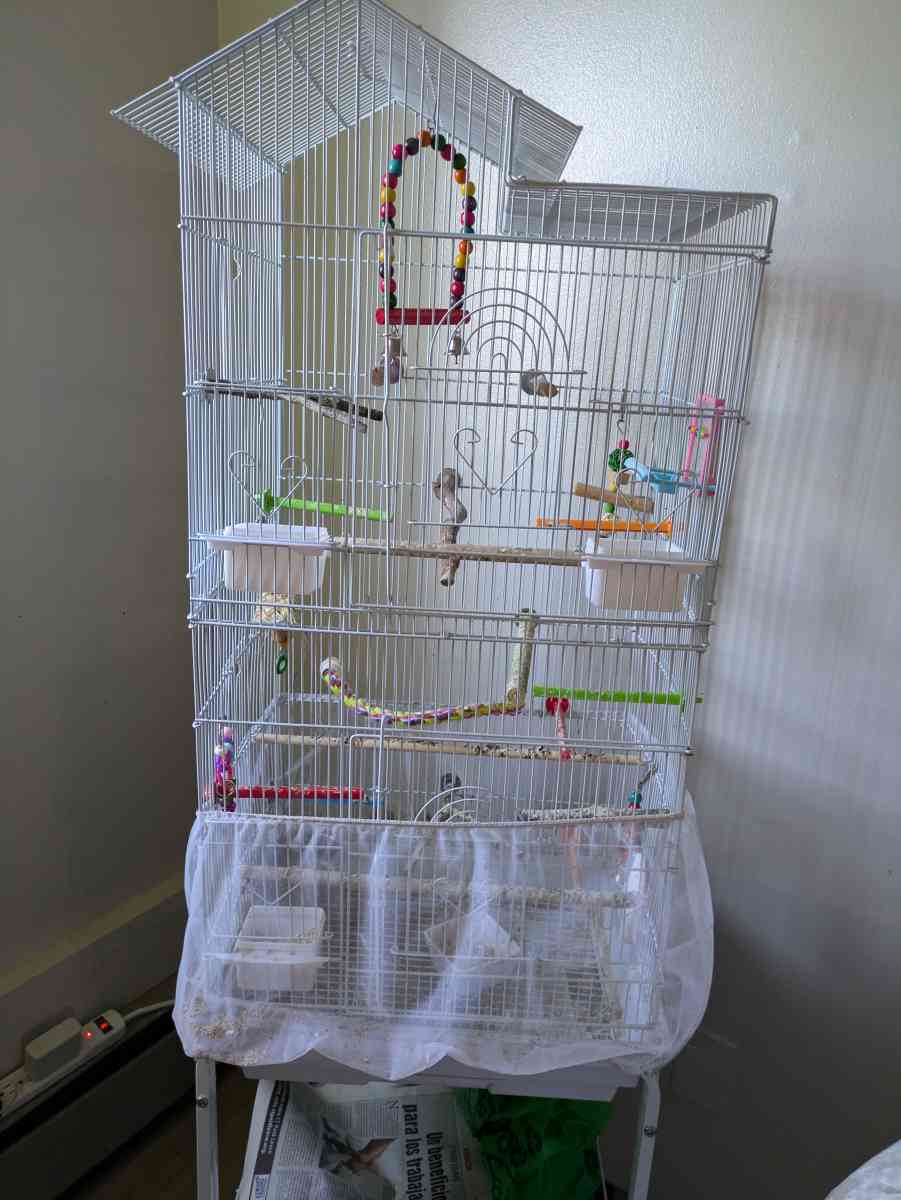 3 bird cages and a bag of 10lb food - Bristol, Connecticut - FleaMarketBay