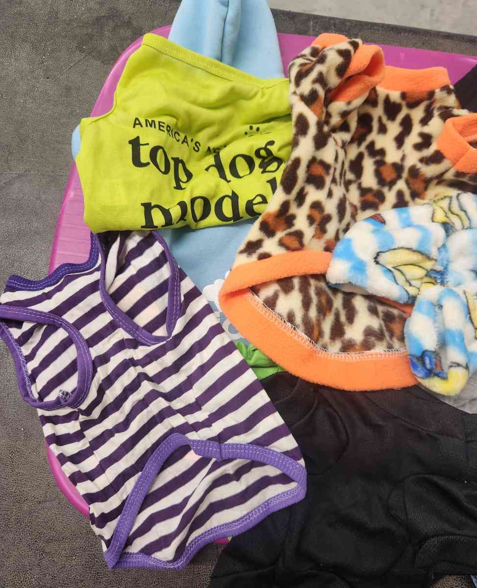 Pet Dog Lot of 11 Outfits Like New S to M - Kenner, Louisiana - FleaMarketBay