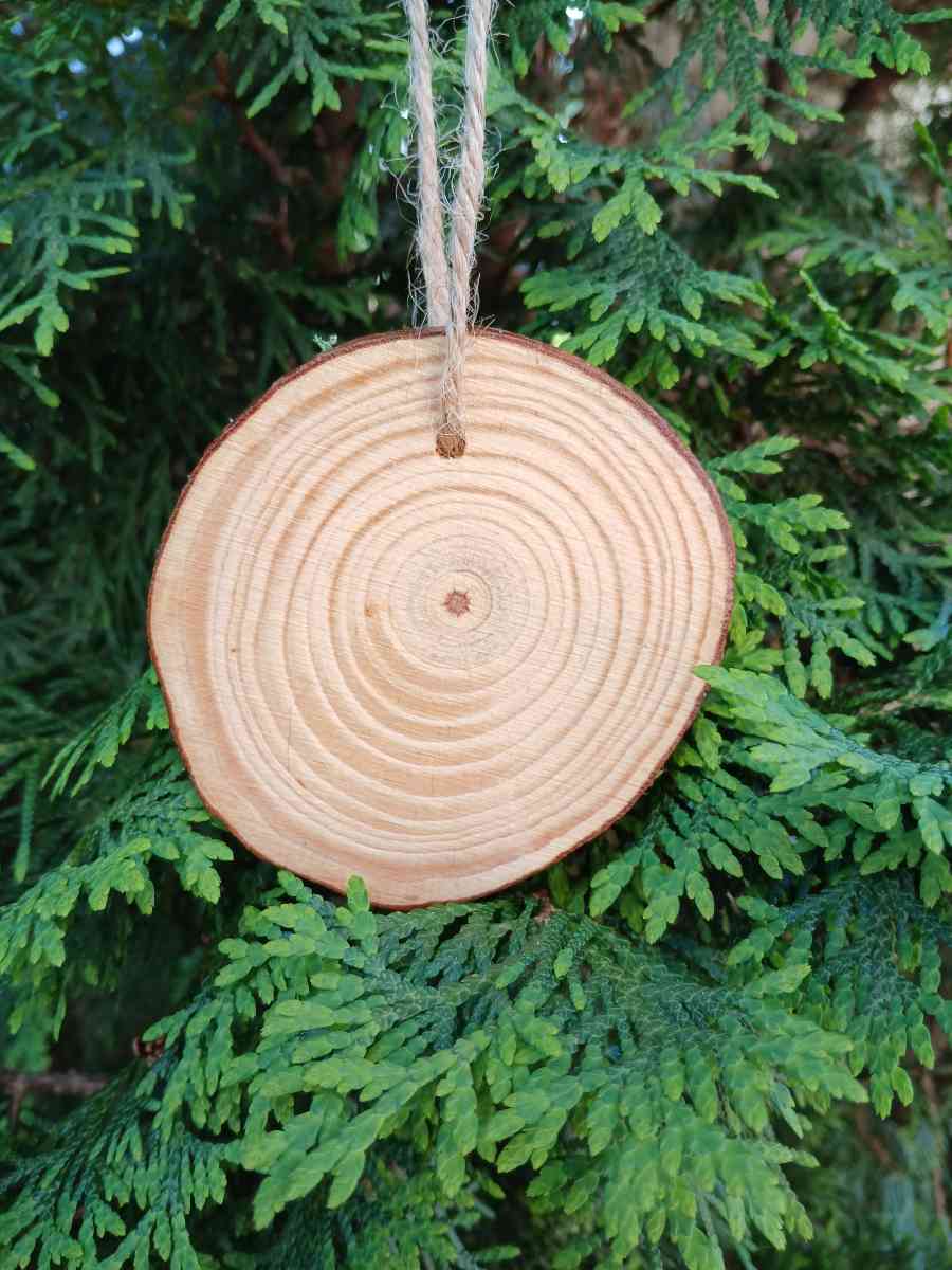 Down by the Sea Hanging Wooden Pour Painted Sharks Eye Ornam - Kingston, Pennsylvania - FleaMarketBay