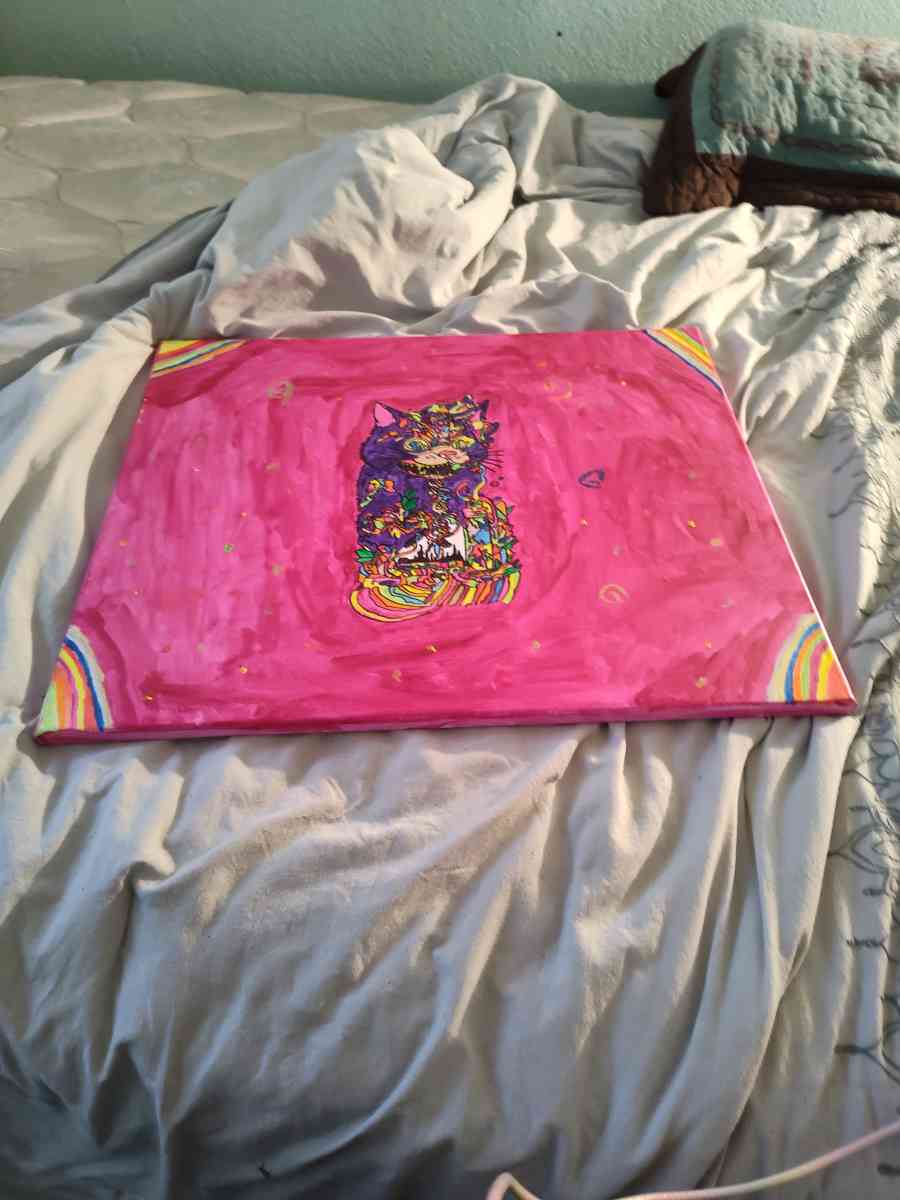 crazy cat - Austin, Texas