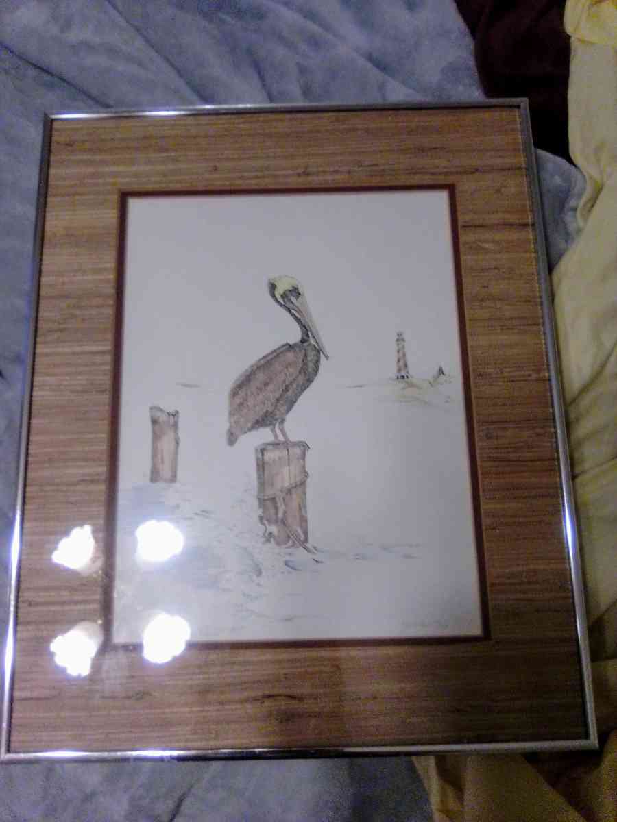 Pelican Signed  Framed Print - Summerville, South Carolina - FleaMarketBay