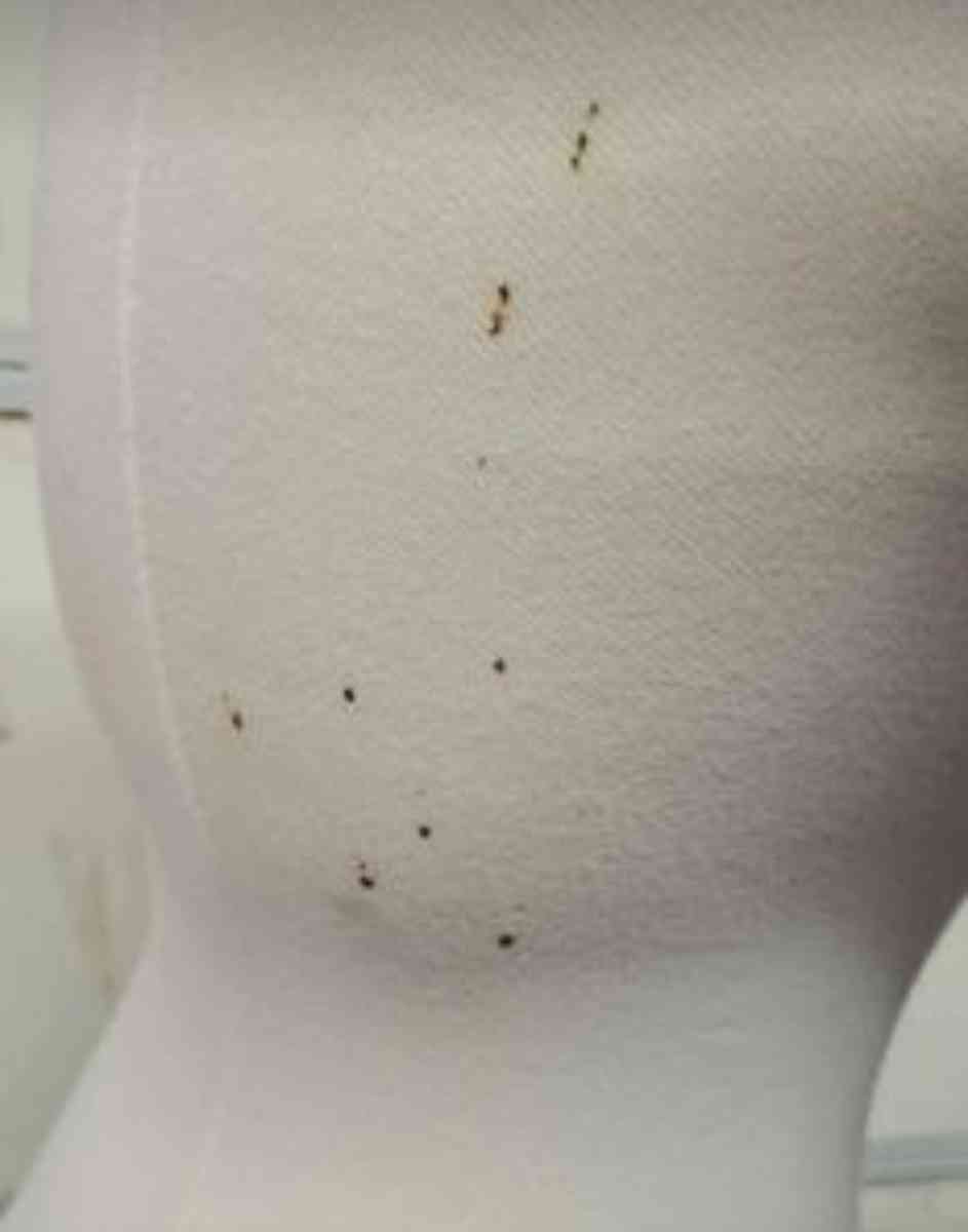 Mannequin On Base  Female  Adjustable Height  RRR Apparel - Rock Island, Tennessee - FleaMarketBay