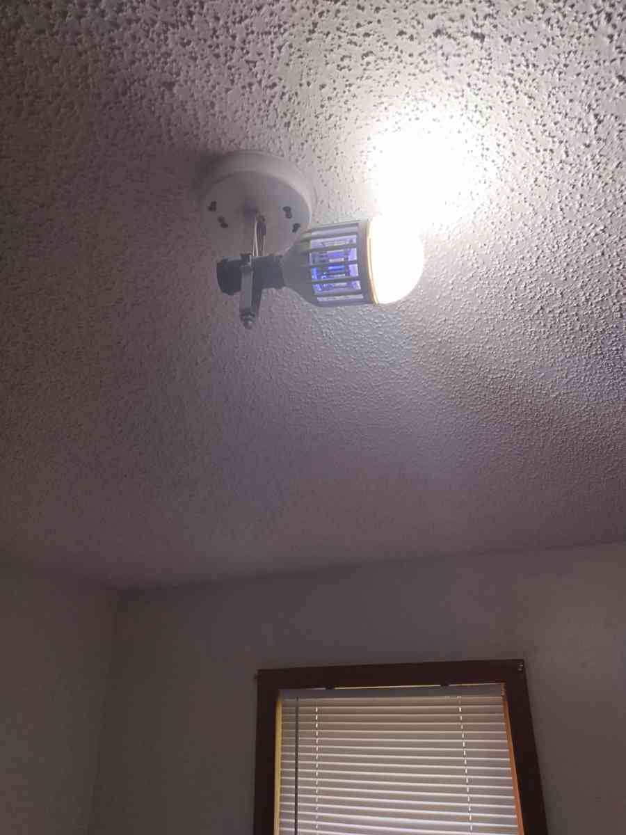 mosquito - Adelanto, California - FleaMarketBay