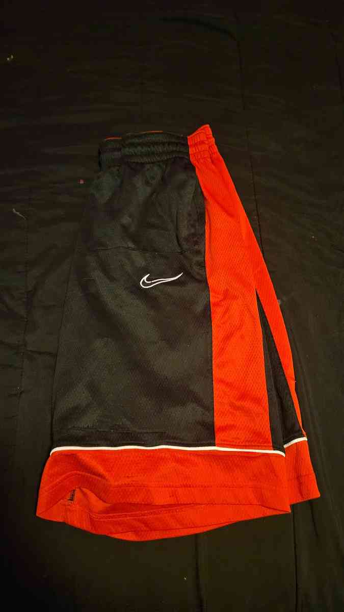 Nike Large Mens Shorts - Somerdale, New Jersey