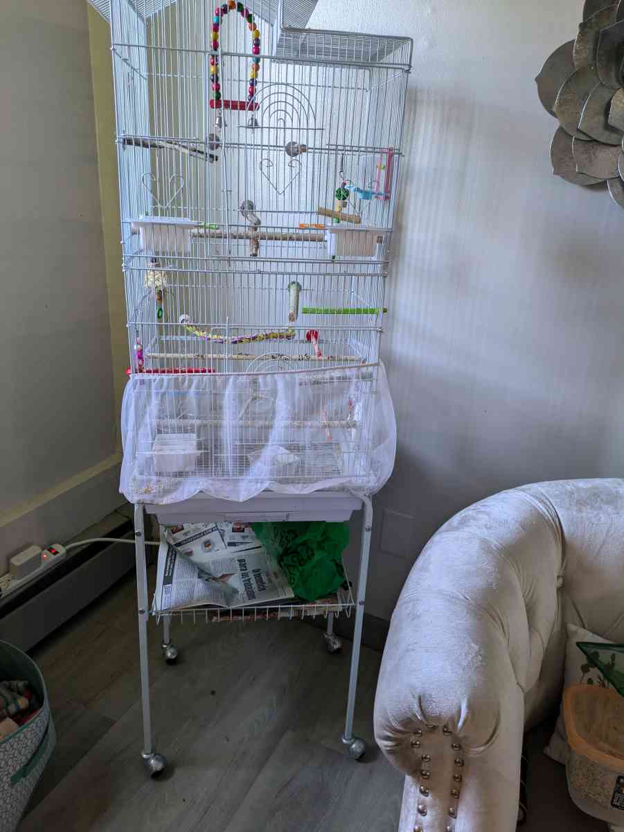 3 bird cages and a bag of 10lb food - Bristol, Connecticut - FleaMarketBay