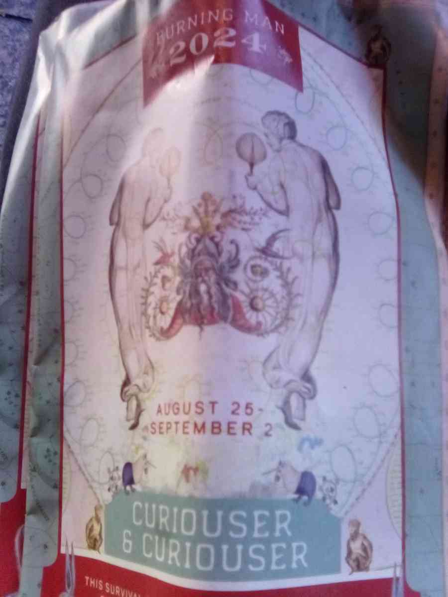 2 tickets to burning man and one parking g pass - San Francisco, California