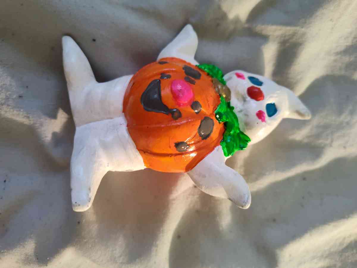 ghost - Austin, Texas