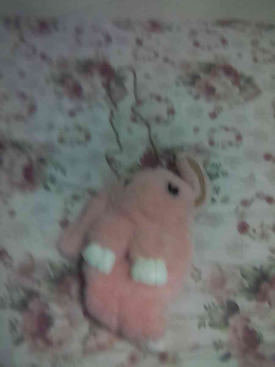 bunny handbag - Atlanta, Georgia