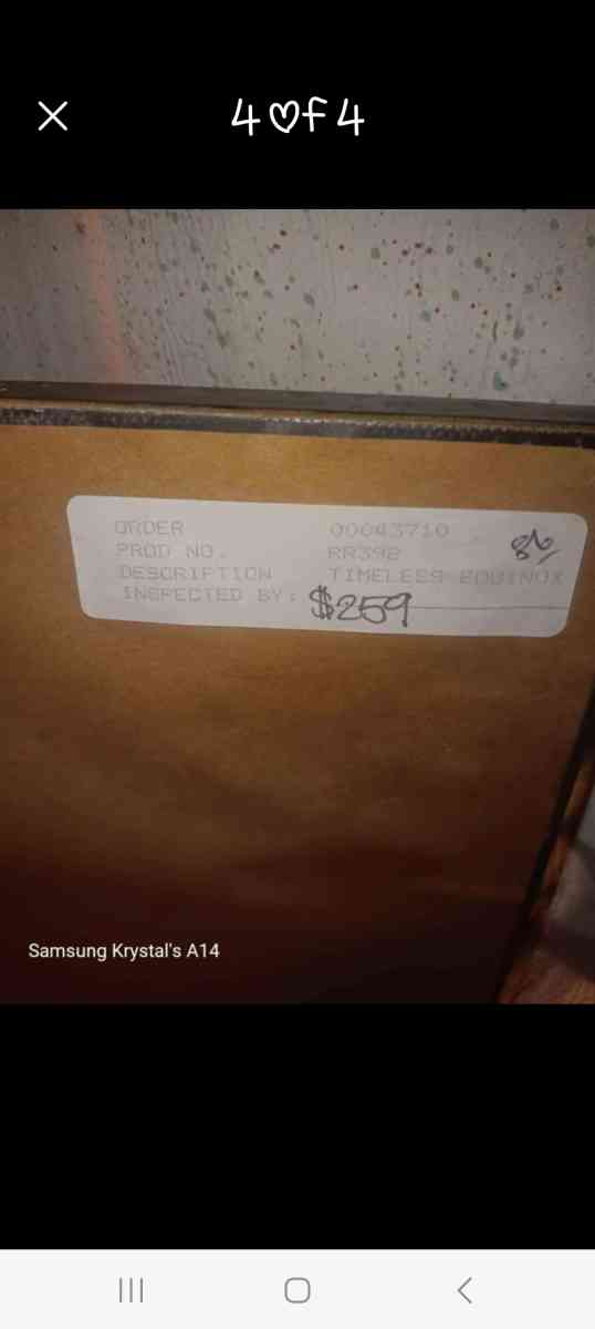 Timeless Equinox Picture in frame - Morgan, Georgia - FleaMarketBay