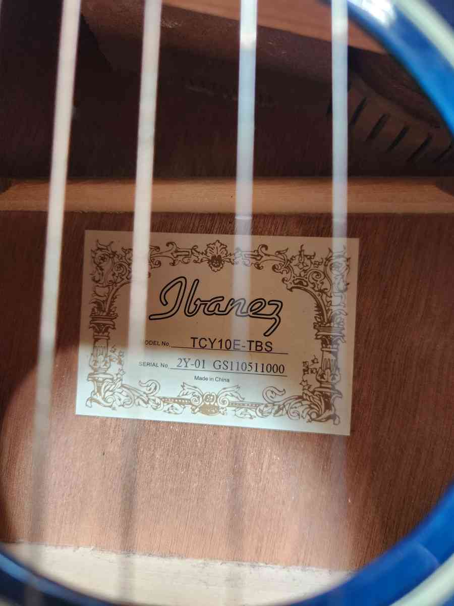 acoustic electric guitar