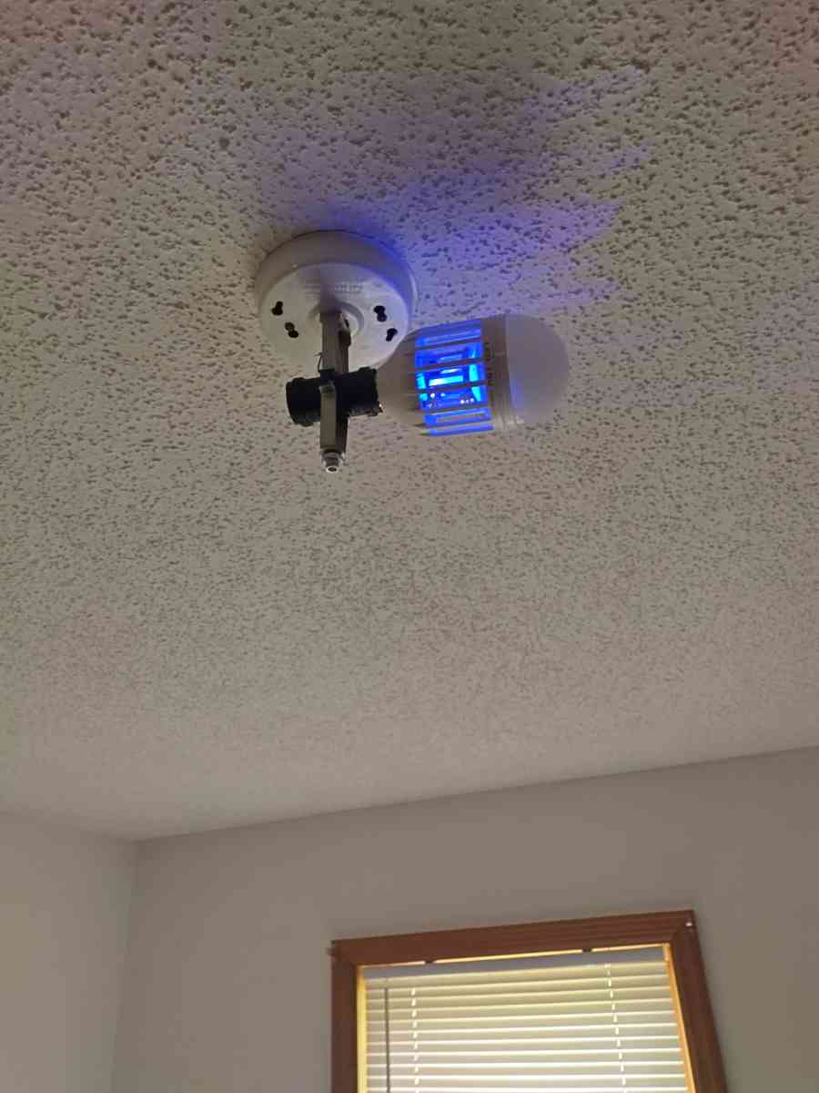 mosquito - Adelanto, California - FleaMarketBay