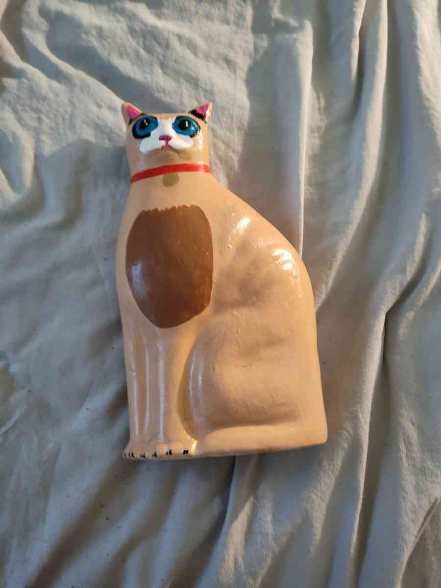 bank cat - Austin, Texas