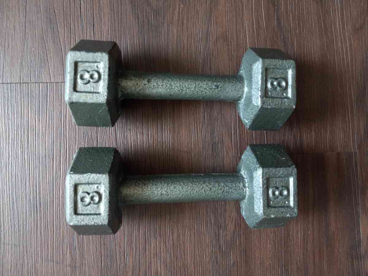 Set of 8 lb dumbells - Morrisville, North Carolina