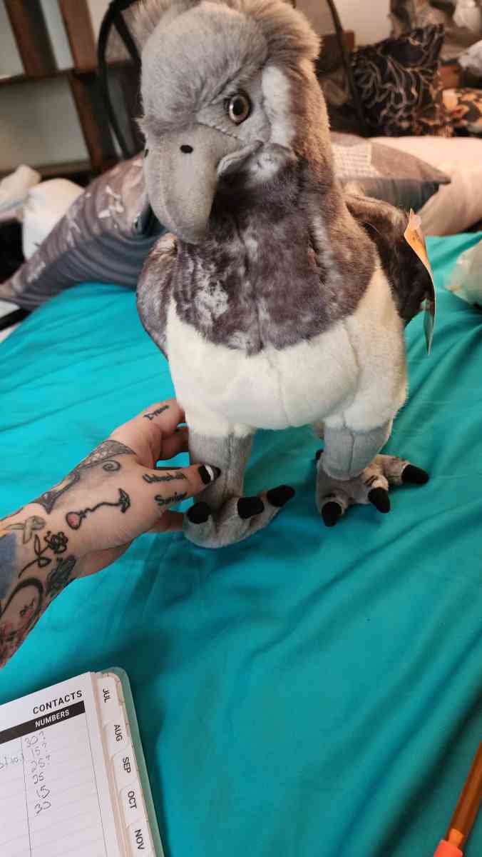 Official Wizarding world merch Buckbeak NWT - Westminster, Colorado - FleaMarketBay