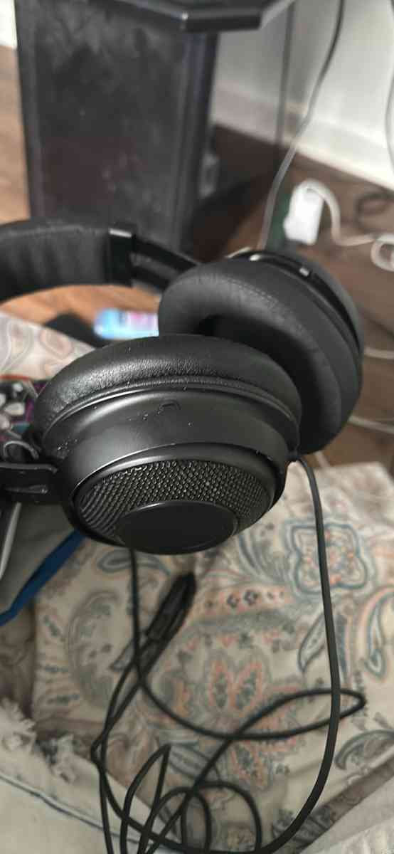 Headset - Greenville, South Carolina - FleaMarketBay