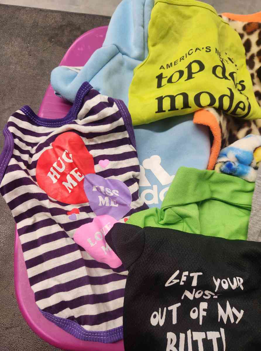 Pet Dog Lot of 11 Outfits Like New S to M - Kenner, Louisiana - FleaMarketBay