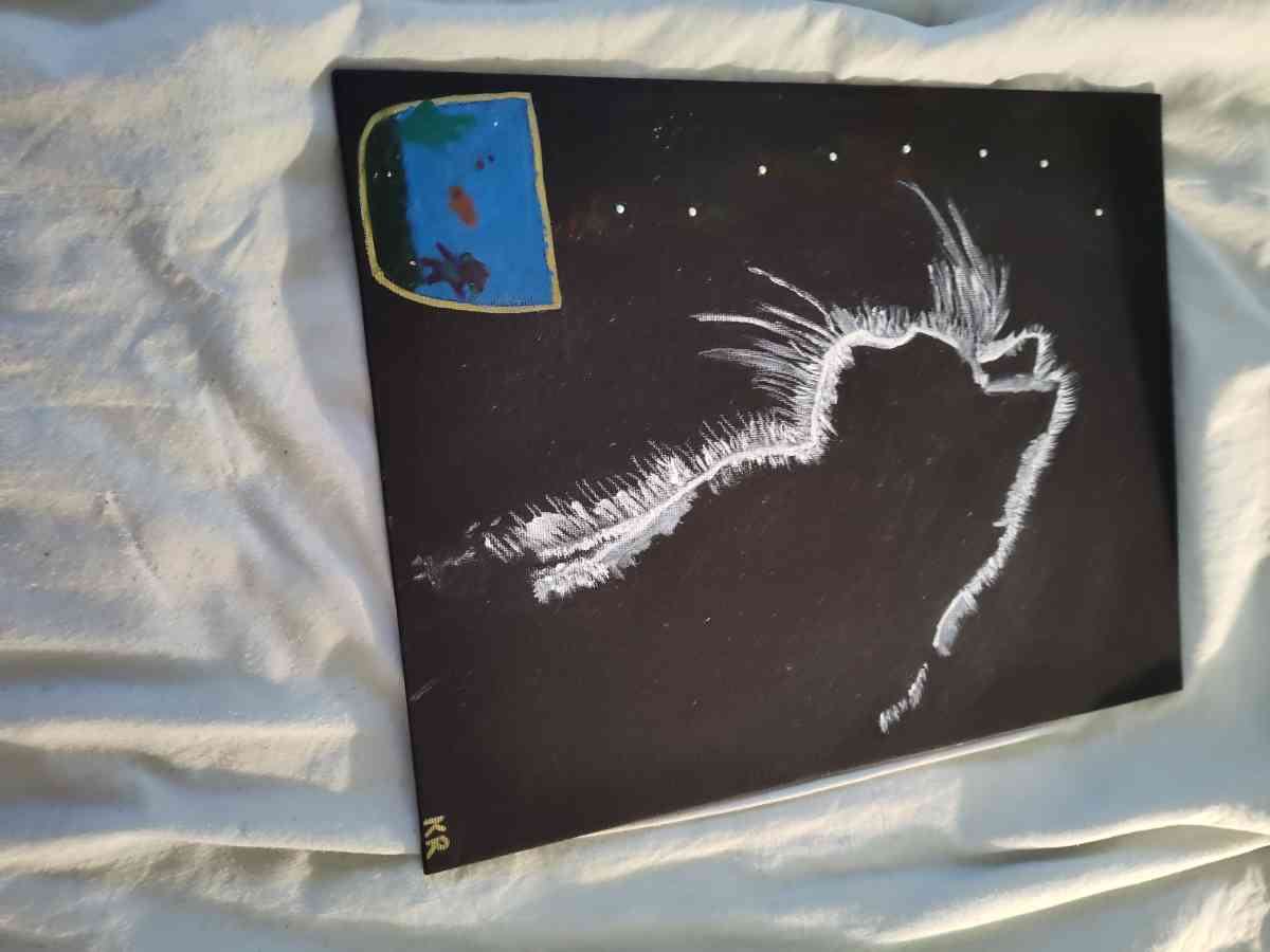 the curious cat - Austin, Texas