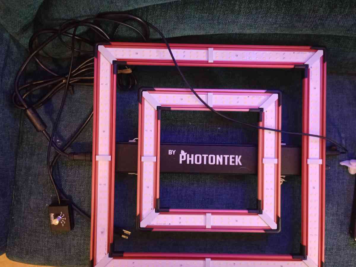 Photontek SQ200W Pro LED Horticulture lights - San Antonio, Texas