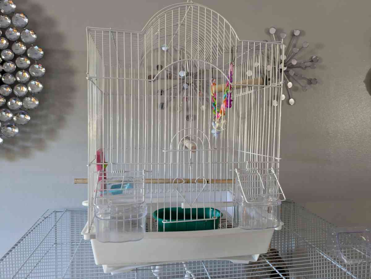 3 bird cages and a bag of 10lb food