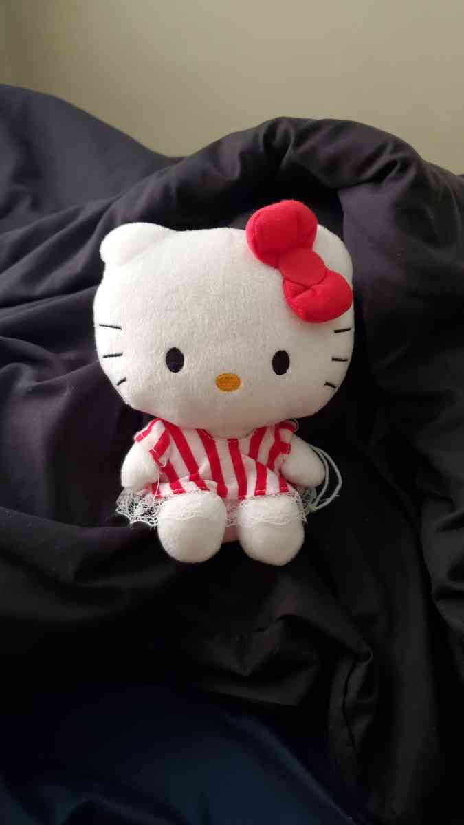 Hello Kitty Plush JOLIET - Joliet, Illinois - FleaMarketBay