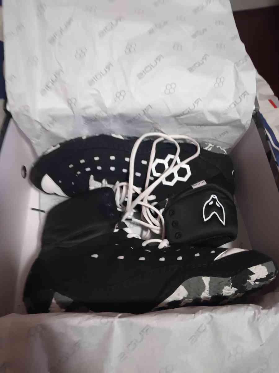 Rudis black and white sf tbilisi - East Providence, Rhode Island