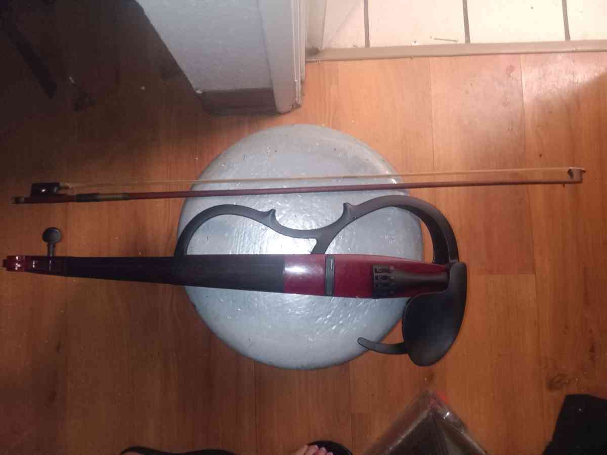 electric violin - Napa, California - FleaMarketBay