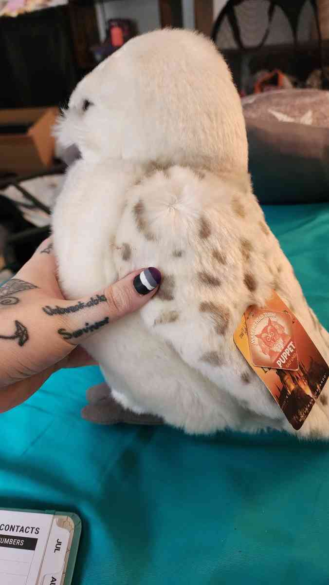 Official Wizarding world merch Hedwig NWT puppet 360head - Westminster, Colorado - FleaMarketBay