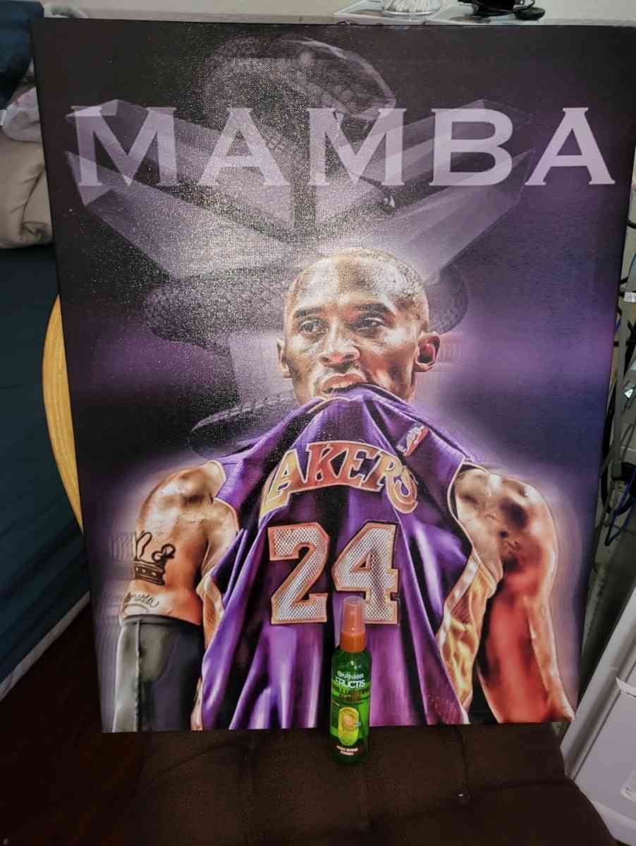 Different canvas avaliable  20 each - San Gabriel, California - FleaMarketBay