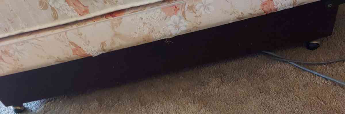 FREE  Automatic Twin XL Bed with Massage - Oil City, Pennsylvania - FleaMarketBay