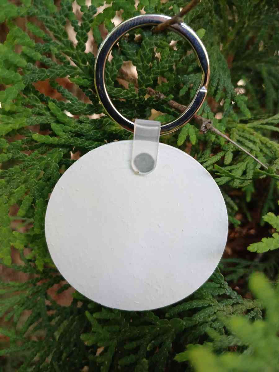 Dratini Pappy Pour Painted Pokemon Kaychain - Kingston, Pennsylvania - FleaMarketBay