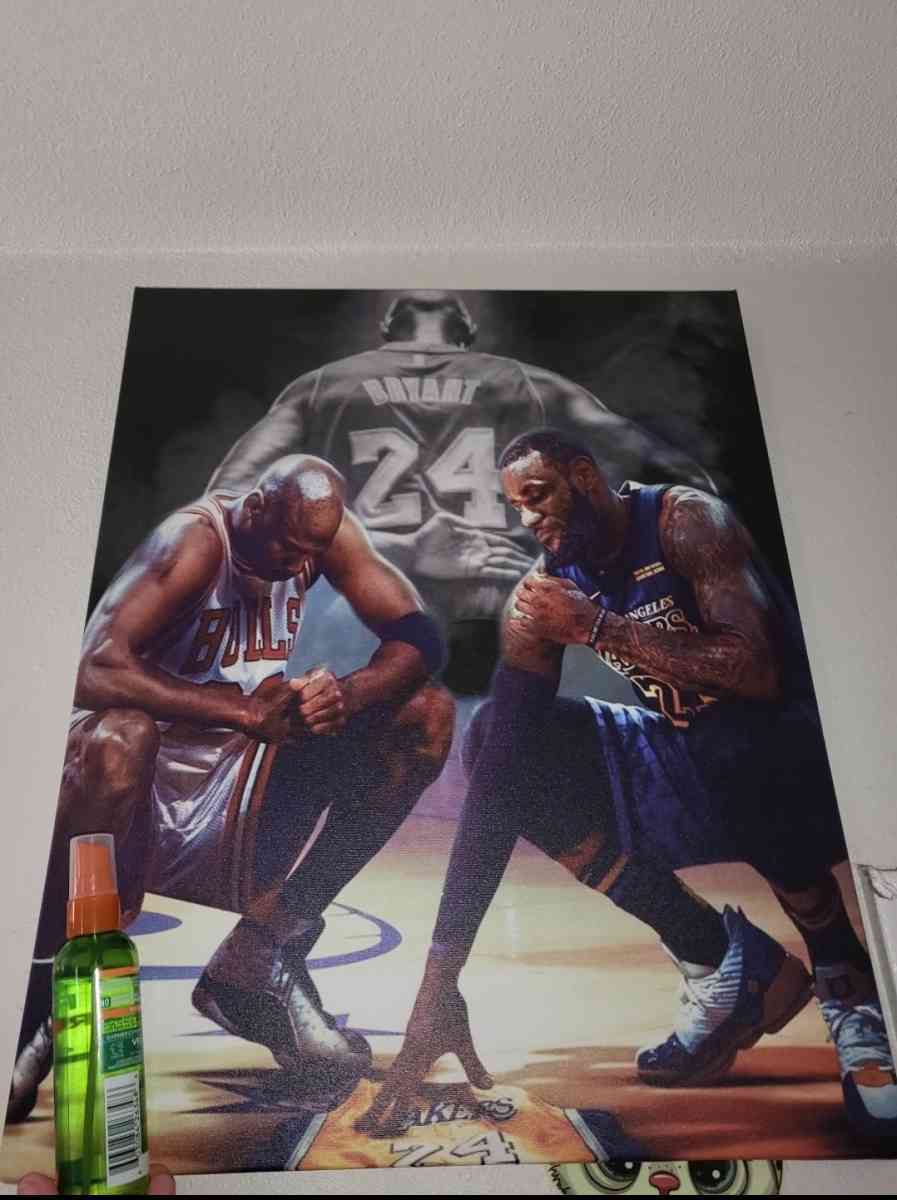 Different canvas avaliable  20 each - San Gabriel, California - FleaMarketBay