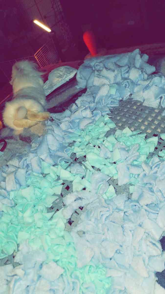 custum snuffle mats washable - Waco, Texas - FleaMarketBay