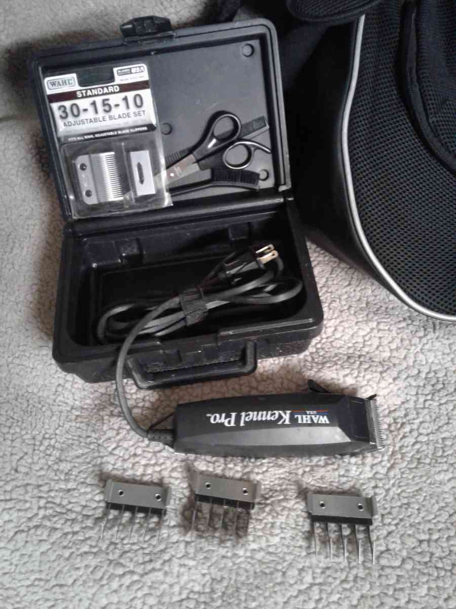 Puppy bundle - Sumter, South Carolina - FleaMarketBay