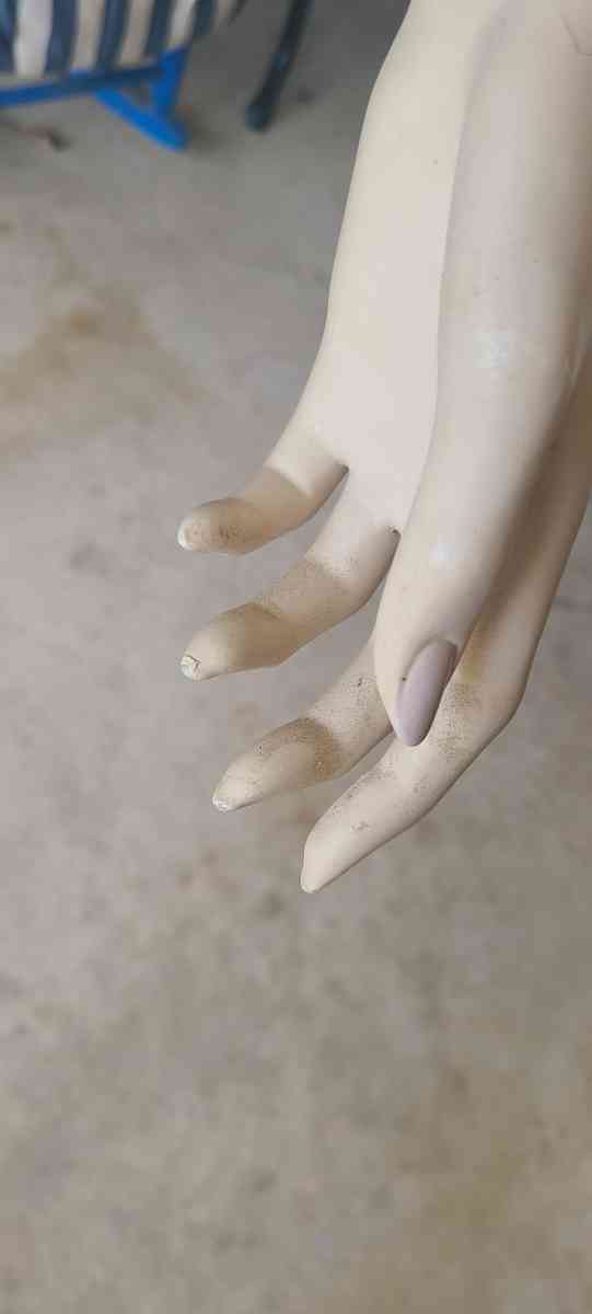 Female Mannequin - Taylors, South Carolina - FleaMarketBay