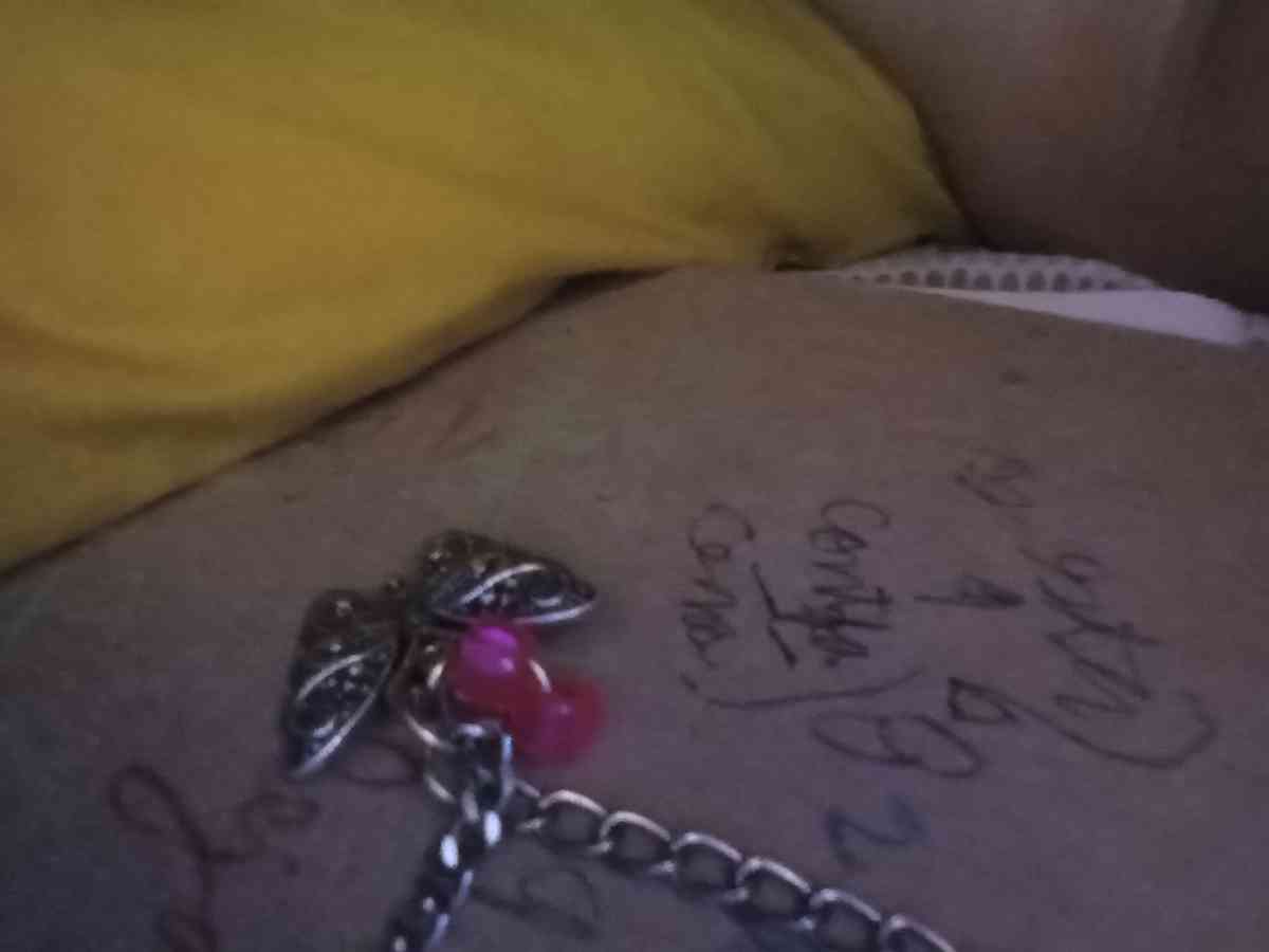 collar para cachora o pera - Alicia, Arkansas - FleaMarketBay