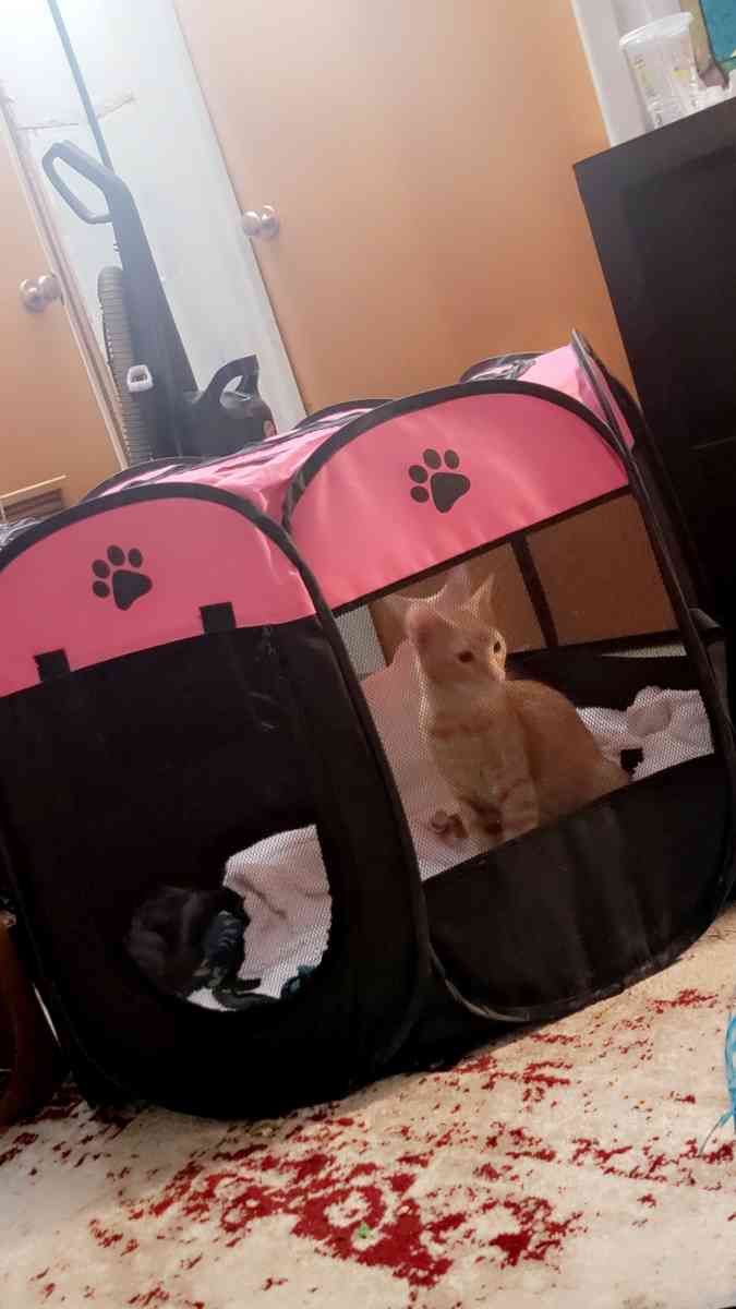 play tent - Waco, Texas